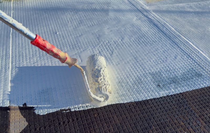 Tpo Roof Coating Service detail