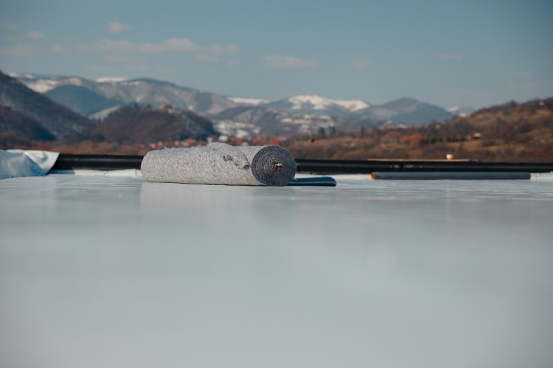 Tpo Roof Coating Service detail