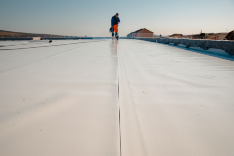 Rubber Roof Inspection